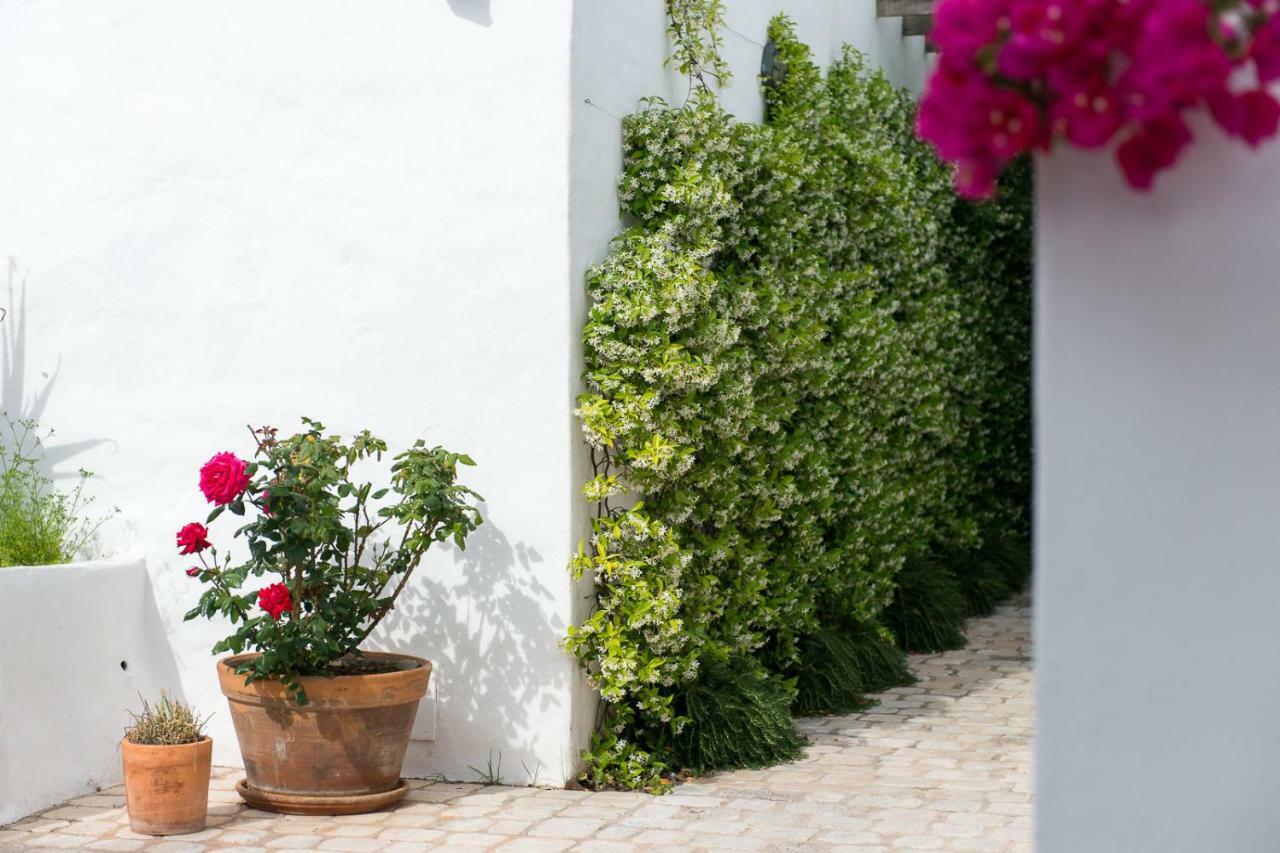 Coliving Add Livitum Otel Ciutadella  Dış mekan fotoğraf