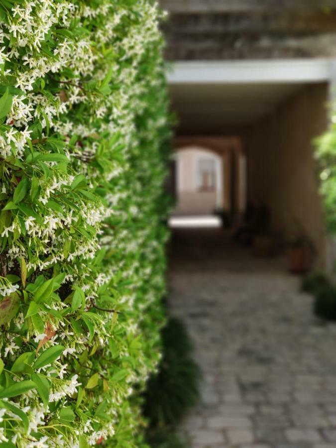 Coliving Add Livitum Otel Ciutadella  Dış mekan fotoğraf