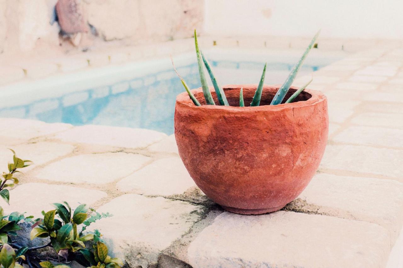 Coliving Add Livitum Otel Ciutadella  Dış mekan fotoğraf